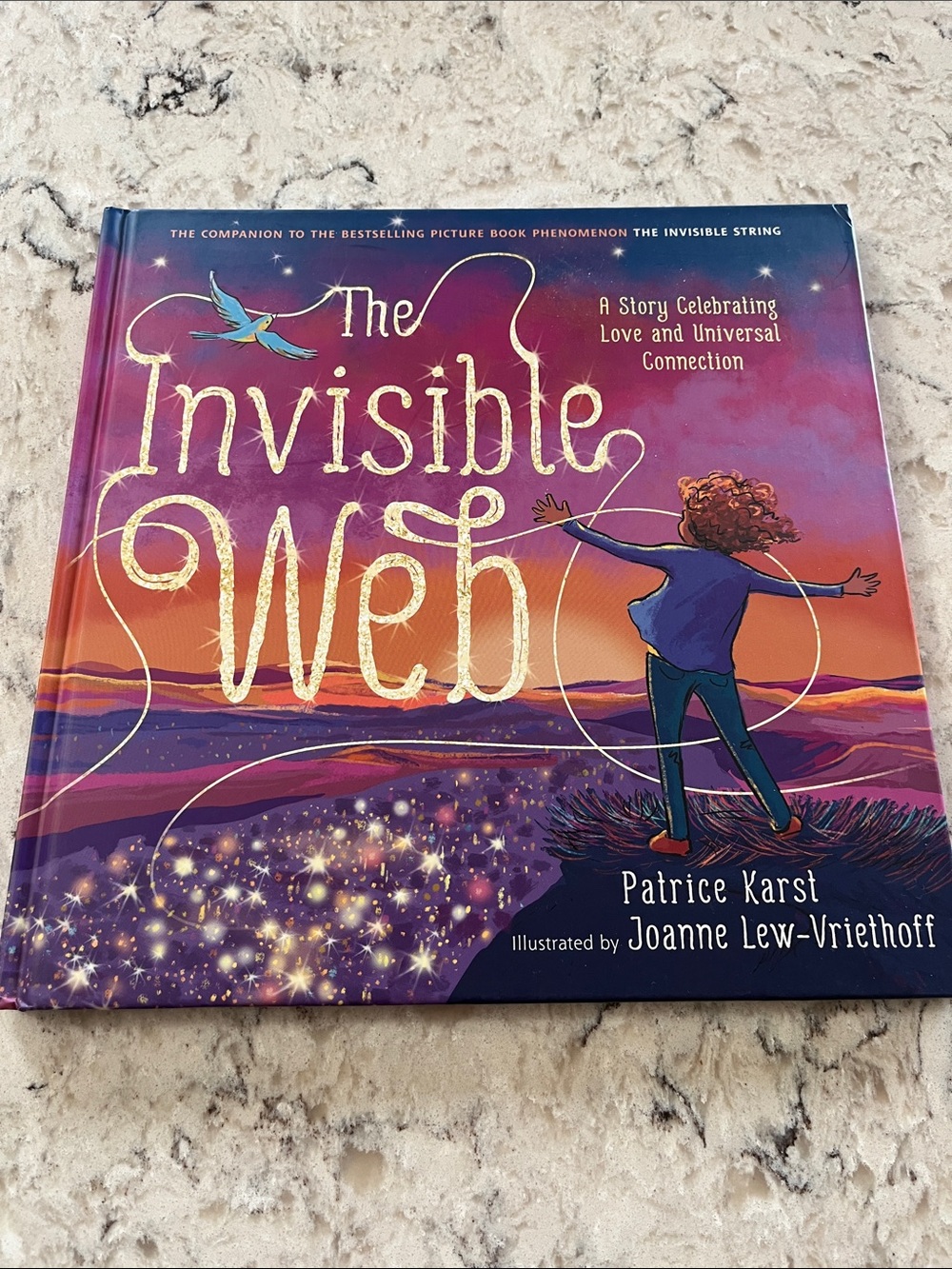 The Invisible Web Hardcover Picture Book - Vibrant Purple & Orange Cover